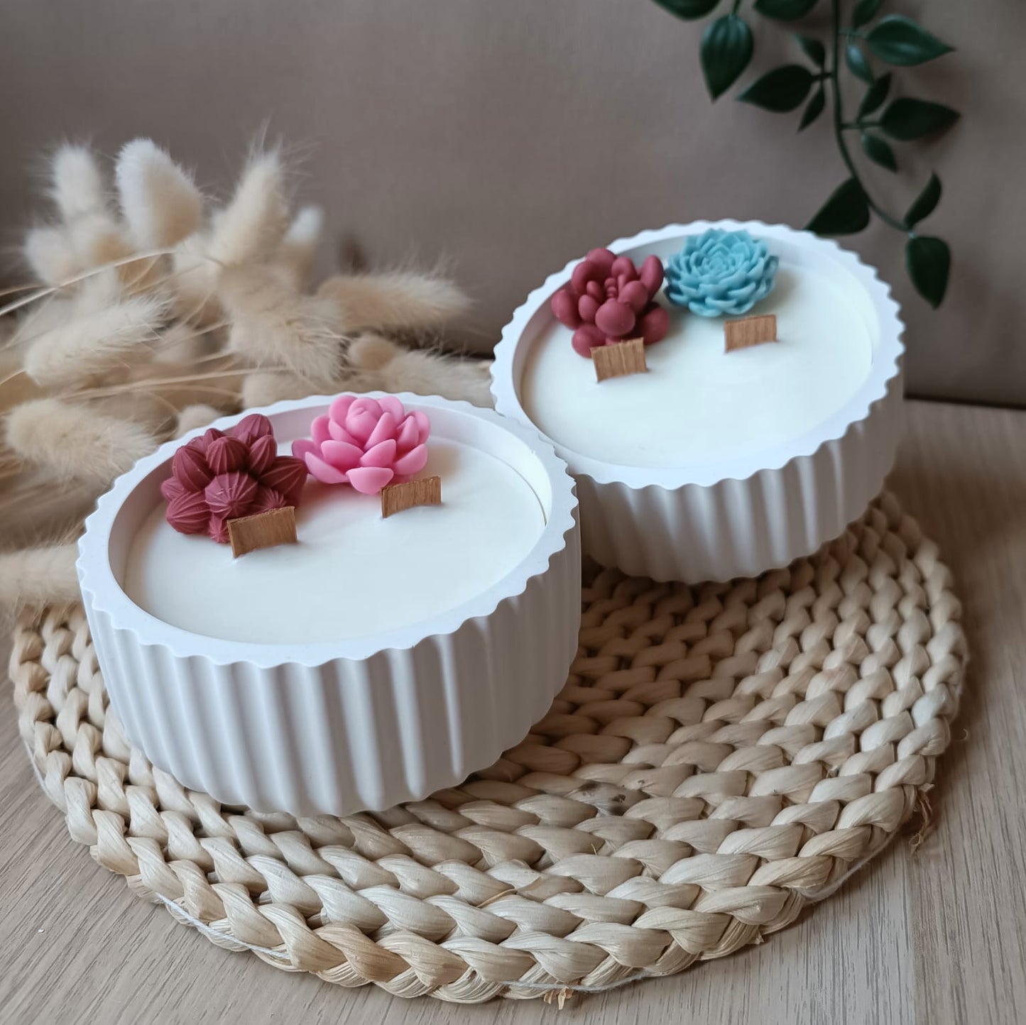 Suculenta en bol ratllat