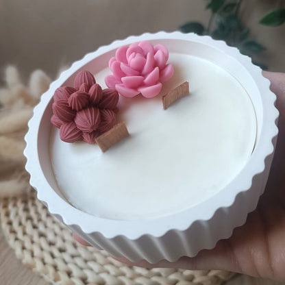 Suculenta en bol ratllat