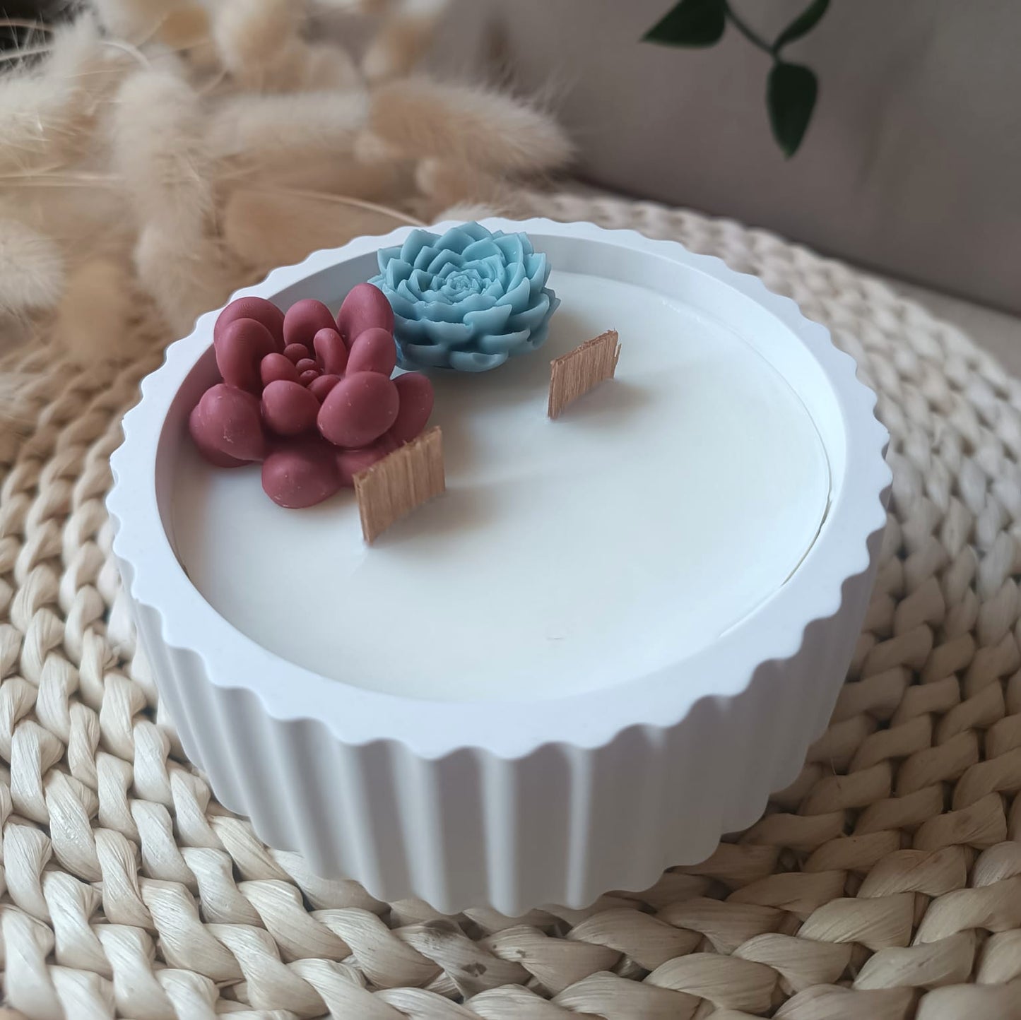 Suculenta en bol ratllat